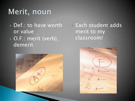 merit noun .